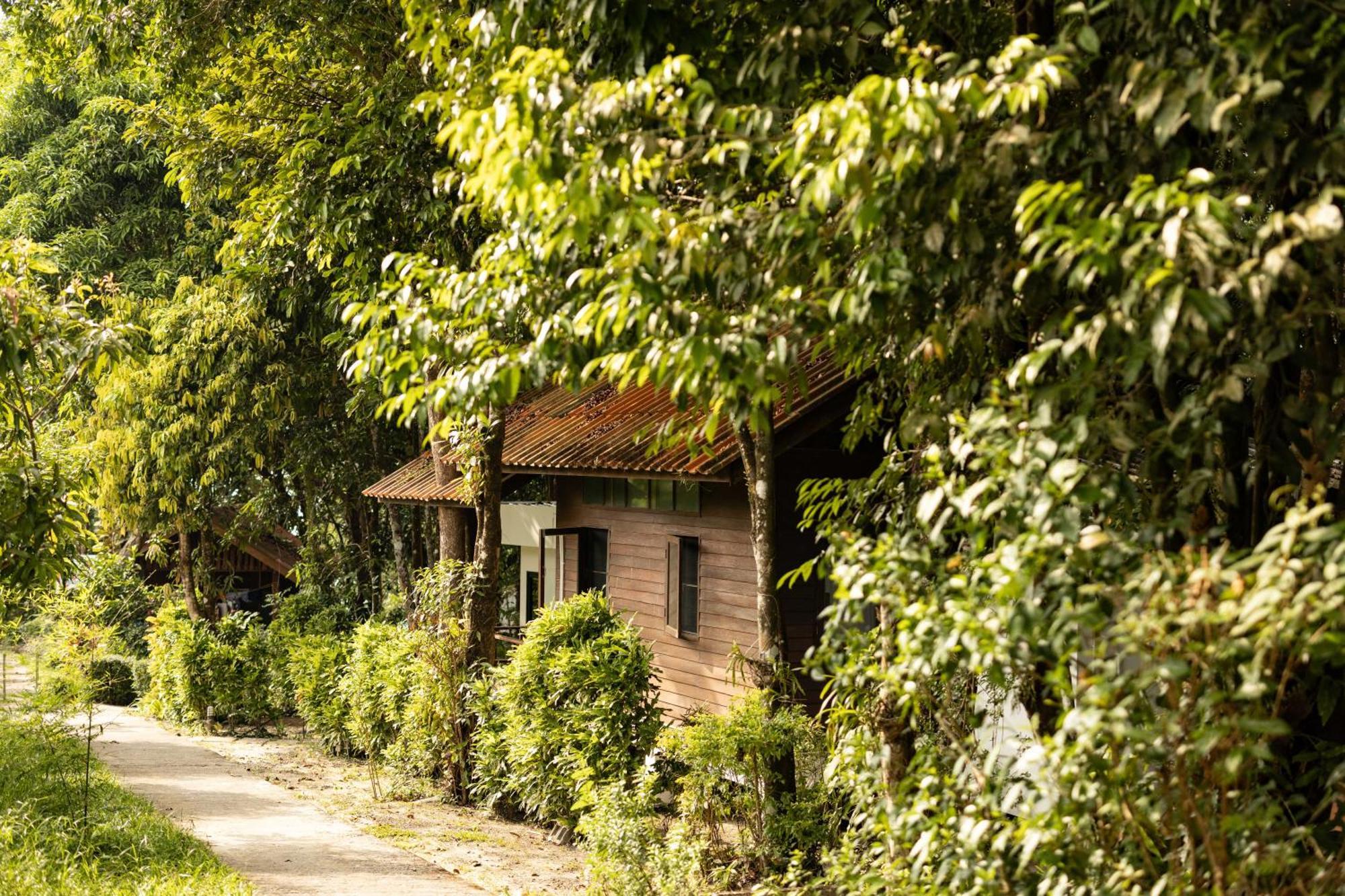 Barefoot Project Formerly Baan Klong Kleng Koh Phayam Dış mekan fotoğraf